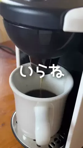 カラこのTikTok投稿