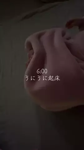 マトリョーシカ🪆のTikTok投稿