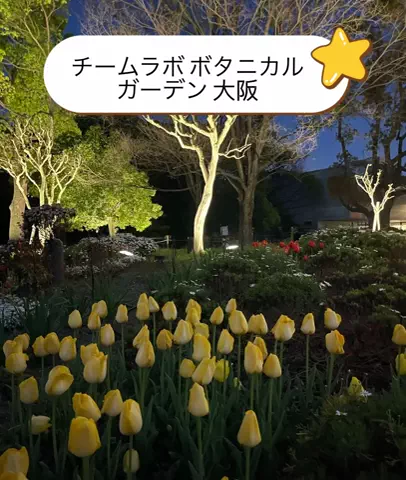 Nihongo AdventureのTikTok投稿