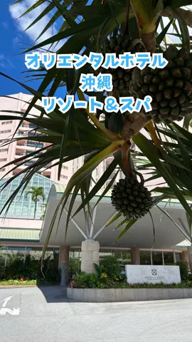 おっきー 🍍沖縄人のTikTok投稿