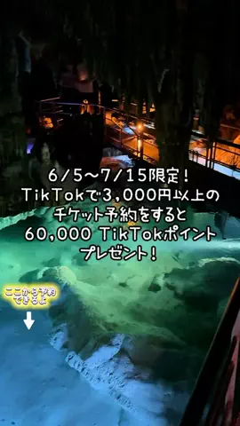 ペリー来航のTikTok投稿
