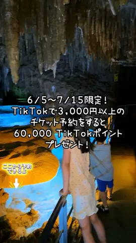 ペリー来航のTikTok投稿