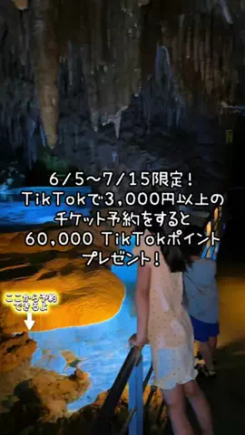 ペリー来航のTikTok投稿