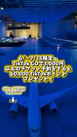 ペリー来航のTikTok投稿