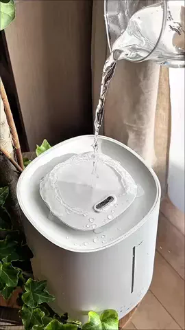 まっきーのTikTok投稿