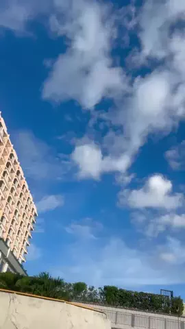 おっきー 🍍沖縄人のTikTok投稿