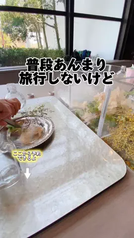 ペリー来航のTikTok投稿