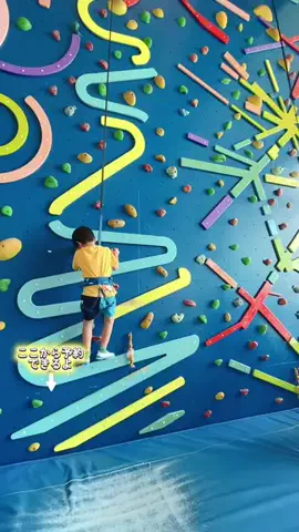 ペリー来航のTikTok投稿