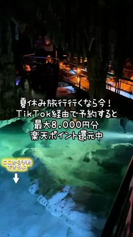 ペリー来航のTikTok投稿