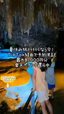 ペリー来航のTikTok投稿