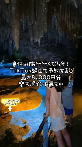 ペリー来航のTikTok投稿
