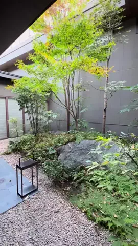おっきー 🍍沖縄人のTikTok投稿