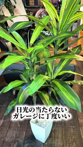 392BASEのTikTok投稿