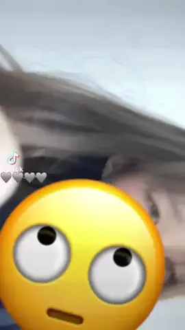 羽のTikTok投稿