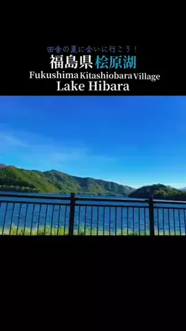 m wのTikTok投稿