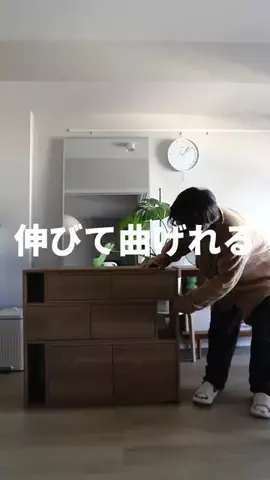 LOWYAのTikTok投稿