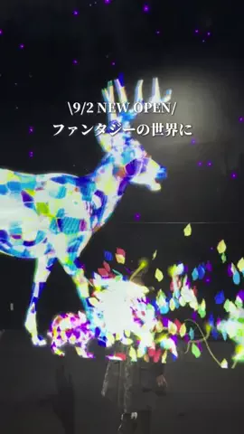 ayamama_photripのTikTok投稿