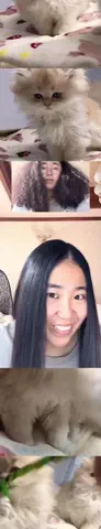 dxiyqifco8mのTikTok投稿