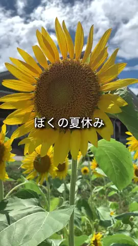 ユーキのTikTok投稿