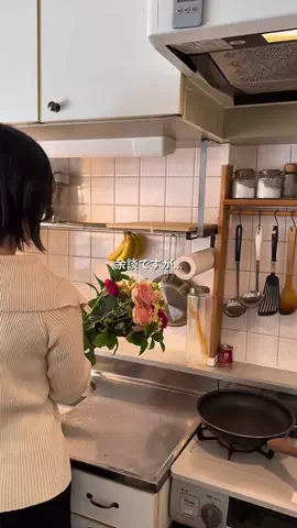 Momo  ｜ 20代ふたり暮らしのTikTok投稿