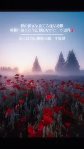 たけ📷✨暫く休んでます( ´Д`)y━･~~のTikTok投稿