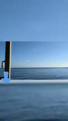こっちゃんのTikTok投稿