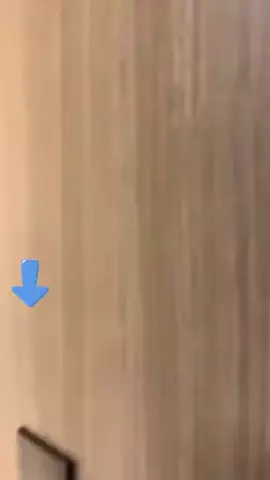 こっちゃんのTikTok投稿