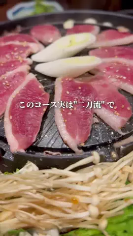 ずーまむ  横浜発  神奈川カフェ&グルメのTikTok投稿