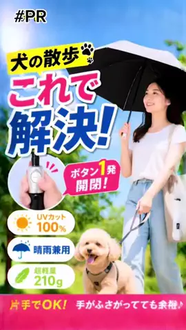 まりもん(･༝･ᐡ)のTikTok投稿
