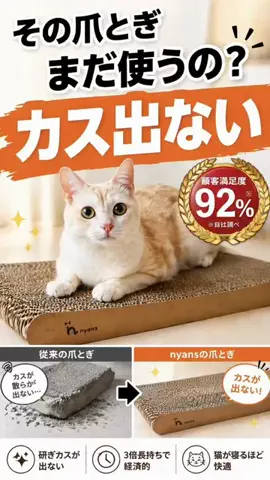 まりもん(･༝･ᐡ)のTikTok投稿