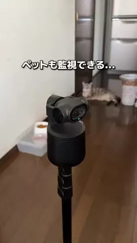 えび｜ズボラでも整うマイペースな暮らしのTikTok投稿