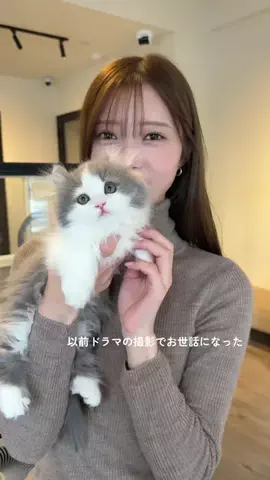松川星のTikTok投稿