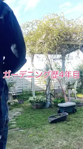 わか🌱雑草を愛でる人のTikTok投稿