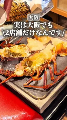 グルメマスター/大阪グルメ•スポットのTikTok PR投稿：大阪/ディナー、ランチ… デートや女子会で使えるから保…