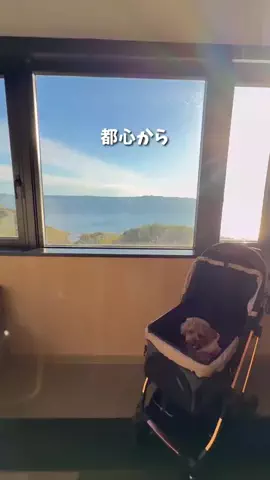 コスパ旅@コスパ良くオシャレに旅行✈️のTikTok投稿