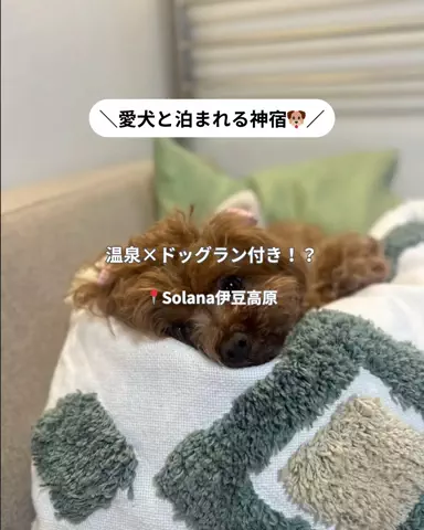 コスパ旅@コスパ良くオシャレに旅行✈️のTikTok投稿