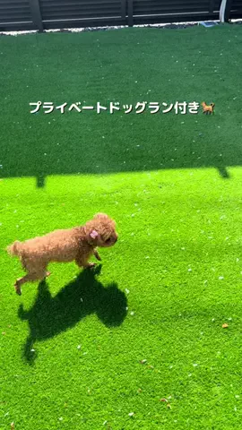 コスパ旅@コスパ良くオシャレに旅行✈️のTikTok投稿