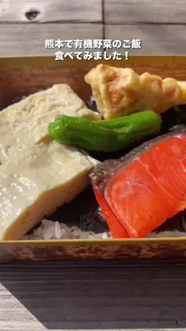 腹ぺこみっちゃん🍉🥩のTikTok投稿