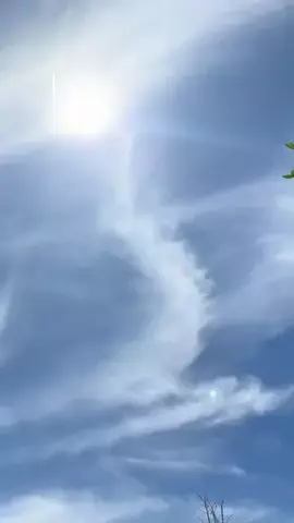 𝑚𝑦 𝑝ℎ𝑜𝑛𝑒 𝑟𝑜𝑜𝑚のTikTok投稿