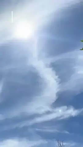 𝑚𝑦 𝑝ℎ𝑜𝑛𝑒 𝑟𝑜𝑜𝑚のTikTok投稿
