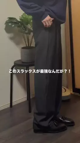 絶対嶺度のTikTok投稿