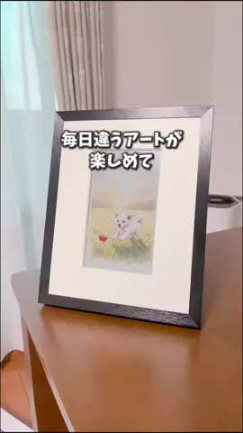 ひろのTikTok投稿