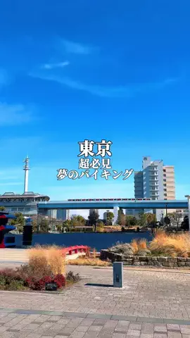 りぃ　たびグルメのTikTok投稿