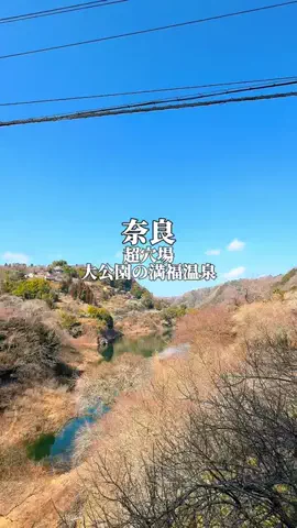 りぃ　たびグルメのTikTok投稿
