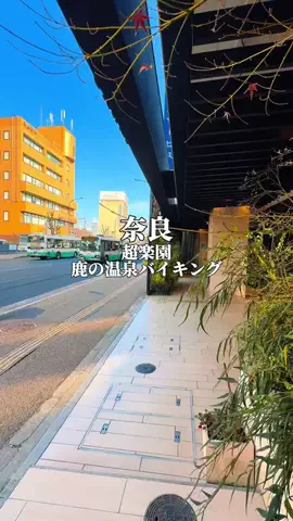 りぃ　たびグルメのTikTok投稿