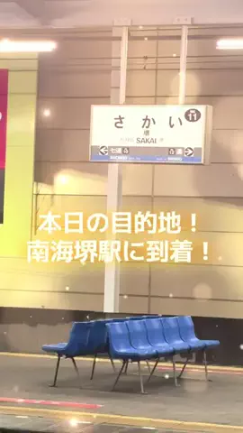えぬちゃんのTikTok投稿
