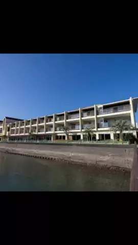 玉次郎のTikTok投稿