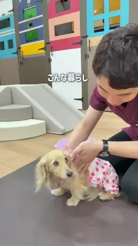 🎀もあらなまぅ🎀のTikTok投稿