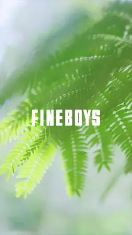 FINEBOYSのTikTok投稿