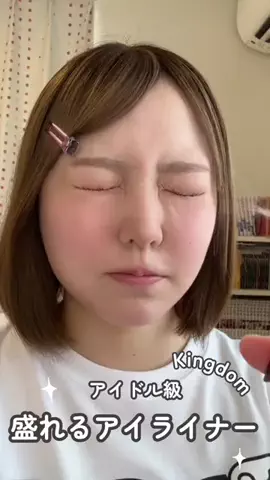 まげにゃんこのTikTok投稿